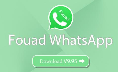 Fouad WhatsApp's Role in Social Media